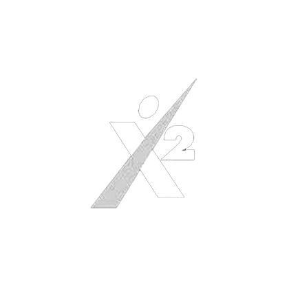 X2 Development Corporation